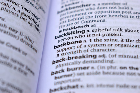 Close Up Of English Dictionary Page With Definition Word - Backbone  Imageの写真素材