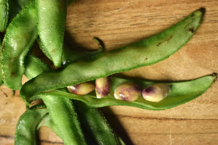Group Of Hyacinth Bean or Same Ki Phalli Lablab Purpures, Also Known As Valor Papdi Beans, Indian...