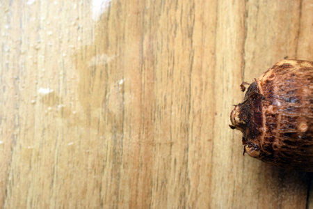 Fresh Taro Root Vegetable On Wooden Table Close Up With Background Blur  Imageの写真素材
