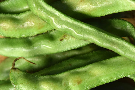 Group Of Fresh Hyacinth Bean or Same Ki Phalli On Wooden Table Close Up With Background Blur  Image