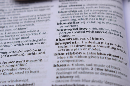 Close Up Of English Dictionary Page With Definition Word -   Blueish  Image