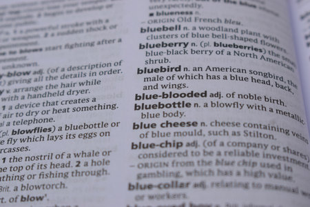 Close Up Of English Dictionary Page With Definition Word -  Blue-Blooded  Imageの写真素材