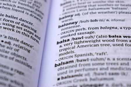 English Definition Dictionary Page Of Printed Word - Balsa   Close Up Image