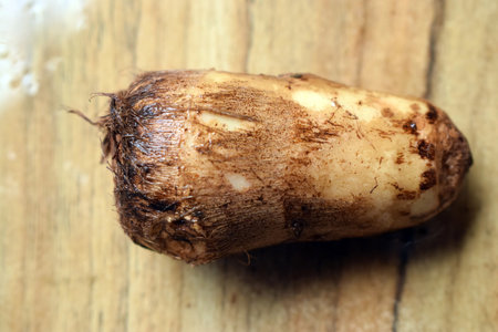 Fresh Unpeeled Taro Root Vegetable On Wooden Table Close Up With Background Blur  Imageの写真素材