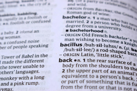 English Definition Dictionary Page Of Printed Word -  Bacillus  Close Up Imageの写真素材