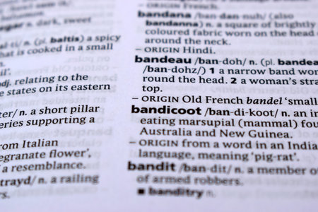 Close Up Of English Dictionary Page With Definition Word -    Bandicoot Imageの写真素材