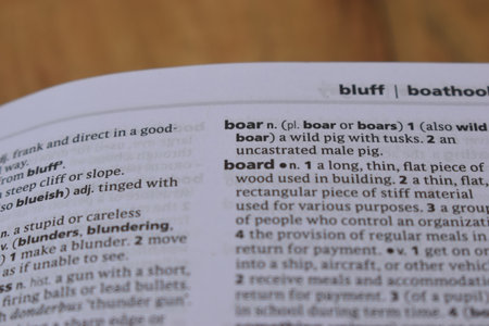 Close Up Of English Dictionary Page With Definition Word -   Board Imageの写真素材
