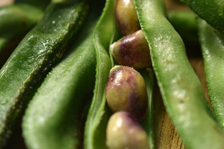 Group Of Fresh Hyacinth Bean or Same Ki Phalli On Wooden Table Close Up With Background Blur  Imageの写真素材