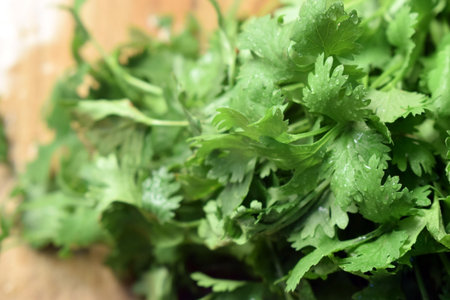 Fresh Coriander Leaves On Wooden Table Close Up With Background Blur Imageの写真素材