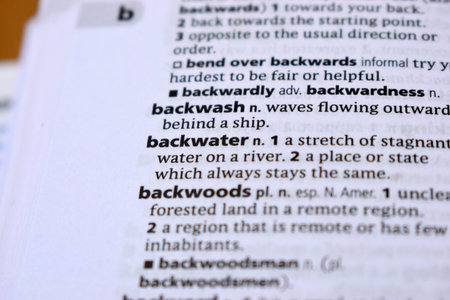 Close Up Of English Dictionary Page With Definition Word -    Backwater Image