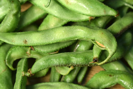 Group Of Fresh Hyacinth Bean or Same Ki Phalli On Wooden Table Close Up With Background Blur  Imageの写真素材