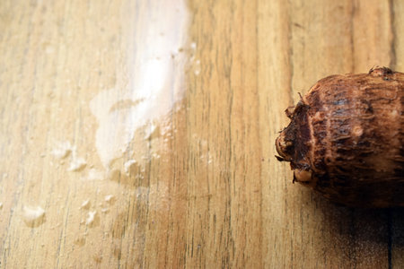 Fresh Taro Root Vegetable On Wooden Table Close Up With Background Blur  Imageの写真素材