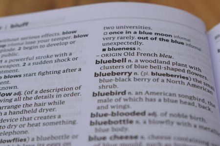 Close Up Of English Dictionary Page With Definition Word -   Bluebell Image