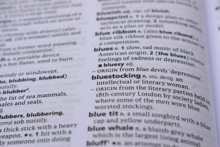 Close Up Of English Dictionary Page With Definition Word -   Bluestocking Image