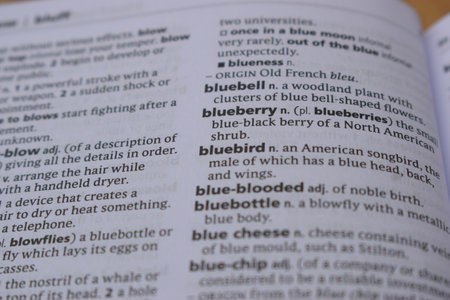 English Definition Dictionary Page Of Printed Word -  Blueberry  Close Up Imageの写真素材