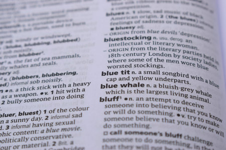 Close Up Of English Dictionary Page With Definition Word - Blue Tit   Image