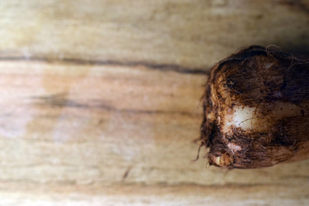 Fresh Taro Root Vegetable On Wooden Table Close Up With Background Blur  Imageの写真素材