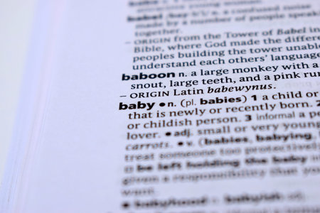 English Definition Dictionary Page Of Printed Word -  Baby   Close Up Image