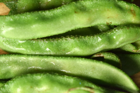 Group Of Hyacinth Bean or Same Ki Phalli Lablab Purpures, Also Known As Valor Papdi Beans, Indian...