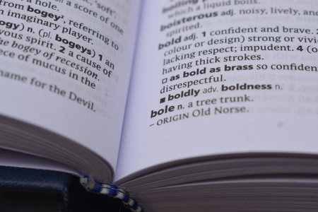 Close Up Of English Dictionary Page With Definition Word -   Bole Image