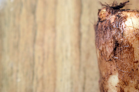 Fresh Taro Root Vegetable On Wooden Table Close Up With Background Blur  Imageの写真素材