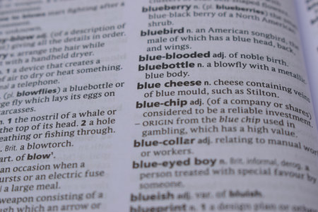 Close Up Of English Dictionary Page With Definition Word -   Blue Cheese  Imageの写真素材