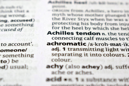 Close Up Of English Dictionary Page With Definition Word -     Achromatic  Imageの写真素材