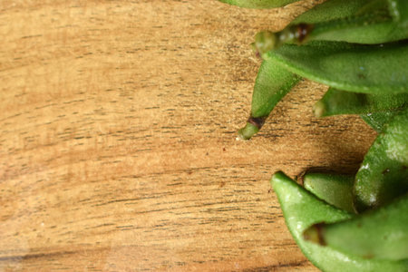 Group Of Fresh Hyacinth Bean or Same Ki Phalli On Wooden Table Close Up With Background Blur  Image