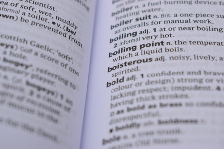 English Definition Dictionary Page Of Printed Word - Boisterous   Close Up Image
