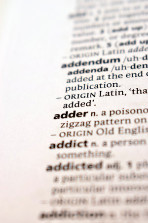 Close Up Of English Dictionary Page With Definition Word -    Adder   Imageの写真素材