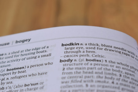 English Dictionary Definition Of Word - Bodkin    Image