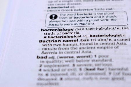 Close Up Of English Dictionary Page With Definition Word -    Bacteriology Image
