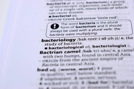 English Definition Dictionary Page Of Printed Word -  Bacteriology  Close Up Image