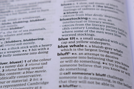 English Definition Dictionary Page Of Printed Word -  Blue Whale  Close Up Image