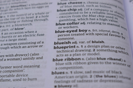 English Definition Dictionary Page Of Printed Word -  Blueish  Close Up Image