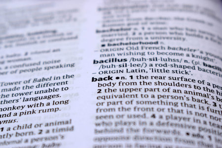 Close Up Of English Dictionary Page With Definition Word -   Back   Image