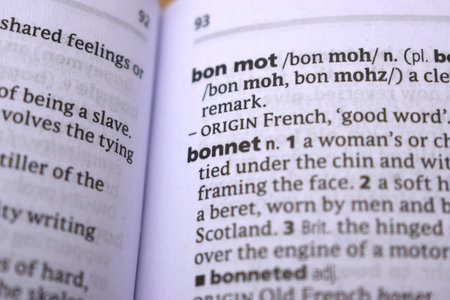 English Dictionary Definition Of Word - Bannet    Image