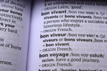 English Dictionary Definition Of Word -  Bon Voyage   Image