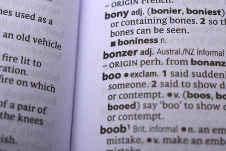 English Dictionary Definition Of Word -  Bonzer   Image