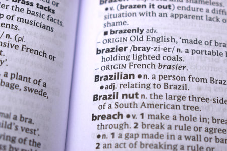 Close Up Of English Dictionary Page With Word - Brazilianの写真素材