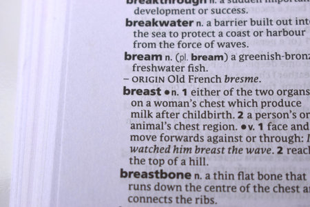 English Definition Dictionary Page Close Up Of Printed Word Of -Breast