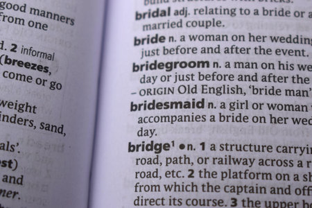 Close Up Of English Dictionary Page With Word - Bridge