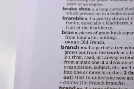 English Definition Dictionary Page Close Up Of Printed Word Of -Branchの写真素材