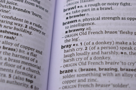 English Definition Dictionary Page Close Up Of Printed Word Of -Bray