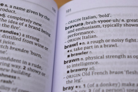 English Definition Dictionary Page Close Up Of Printed Word Of -Brawlの写真素材