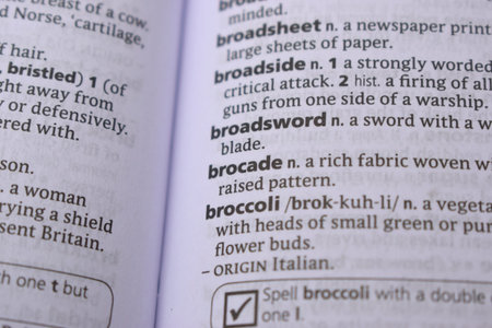English Definition Dictionary Page Close Up Of Printed Word Of -Brocade