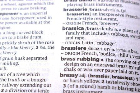 Close Up Of English Dictionary Page With Word - Brassiereの写真素材