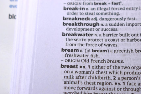 Close Up Of English Dictionary Page With Word - Breamの写真素材