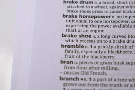 Close Up Of English Dictionary Page With Word - Bramble