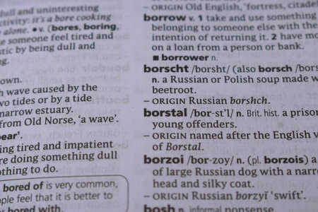 English Definition Dictionary Page Close Up Of Printed Word Of -Borstal